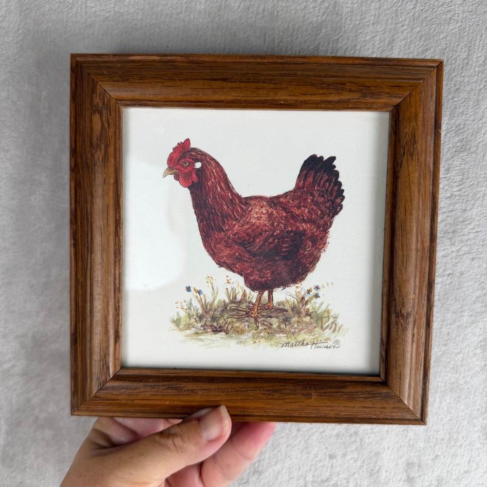 FARMHOUSE DECOR Martha Hudson Framed Chicken Hen Art Print Wood Frame